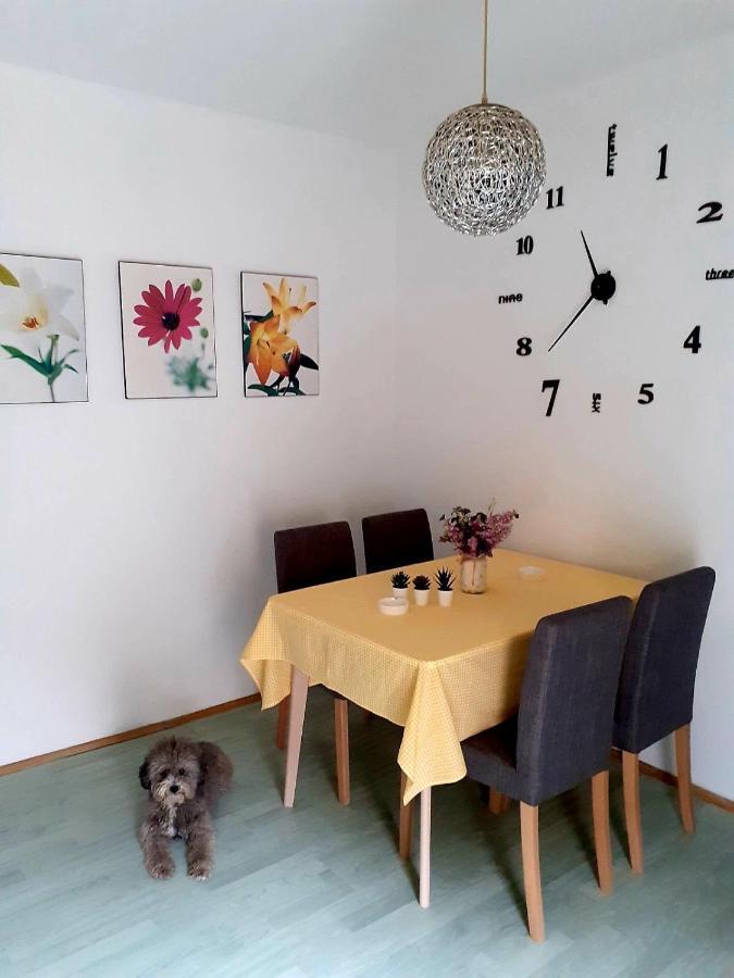 Apartman Danube Novi Sad Eksteriør bilde
